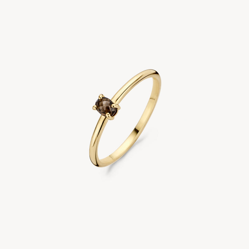 14k geelgouden ring met kleine ronde smokey quartz zitting.