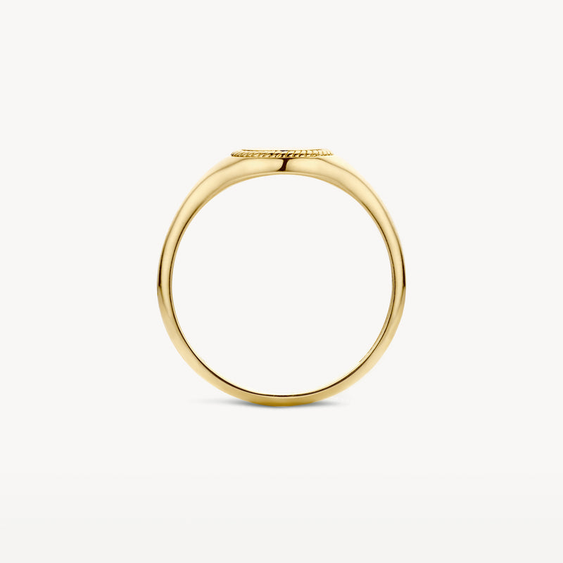 Zegelring 1205YGO in 14k geelgoud met fijne, gladde afwerking.