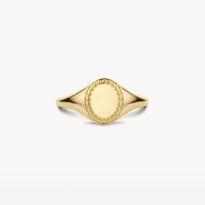 Zegelring van 14k geelgoud met gegraveerde rand en glad oppervlak.