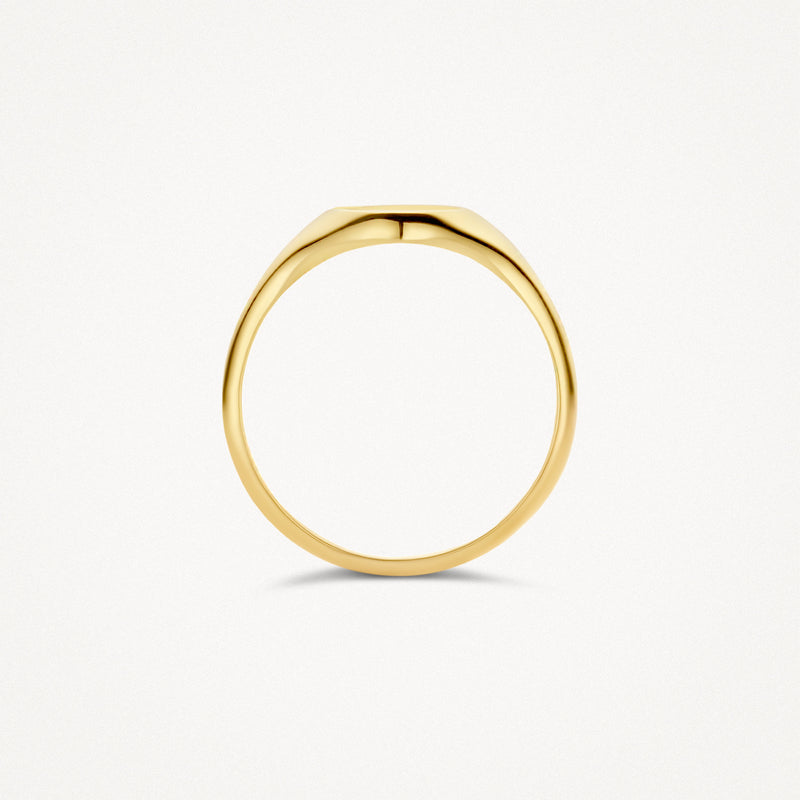 Dichtungsring aus 585er Gelbgold mit glatter, matter Oberfläche und breitem Band.