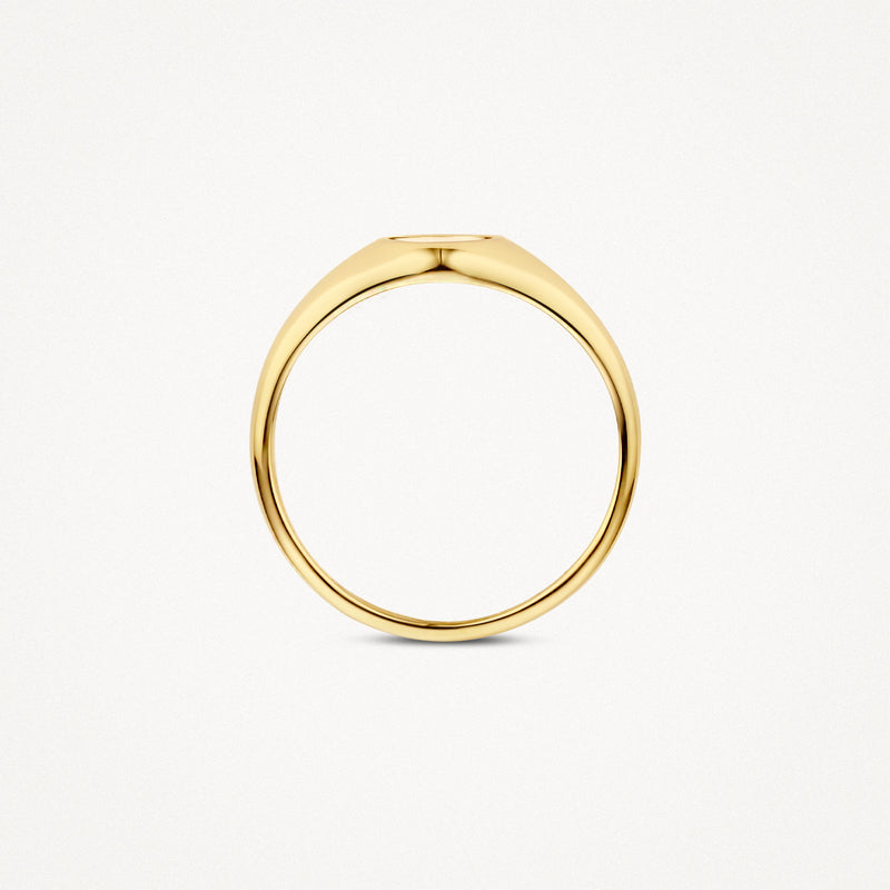 Zegelring van 14k geelgoud met gladde, glanzende afwerking, ronde vorm.