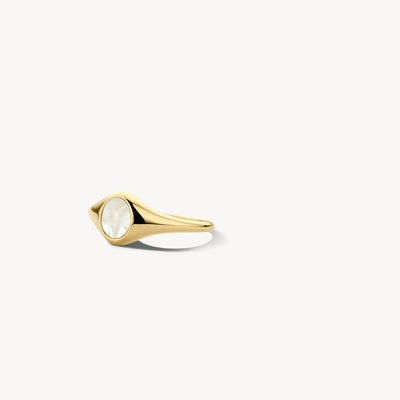 Zegelring van 14k geel goud met ovale parelmoer inzet en gladde band.