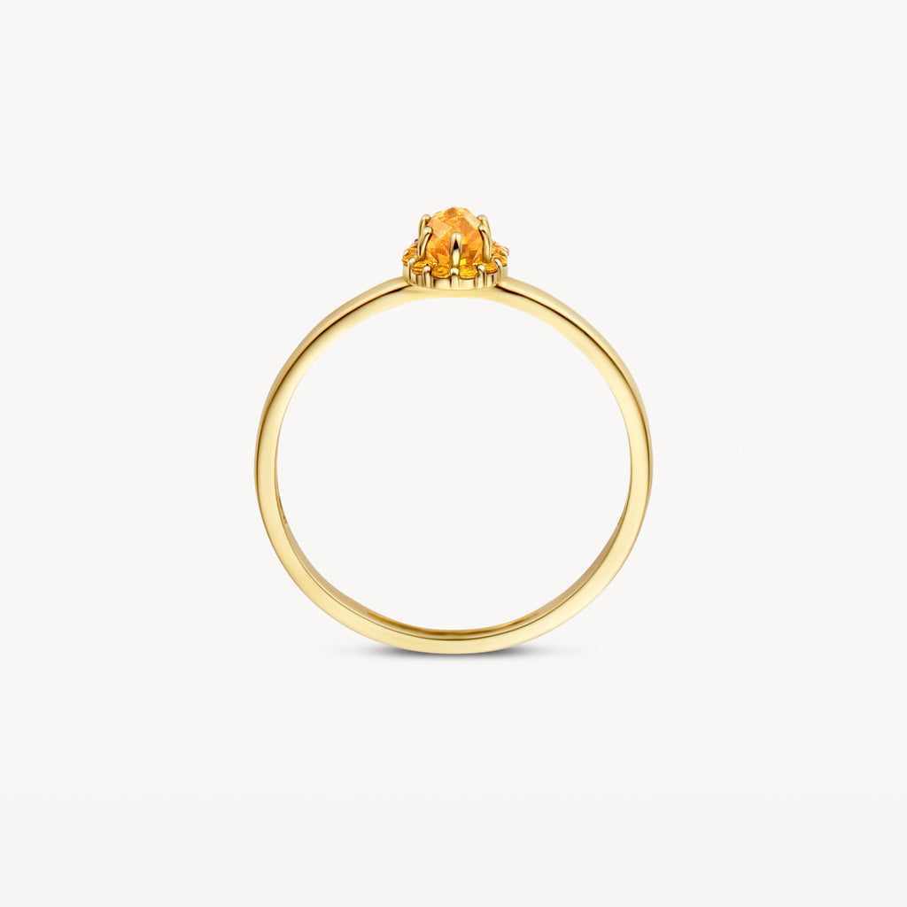 14k Yellow Gold Ring Blush Jewels 1226YCI Blush Gold Jewels enNL