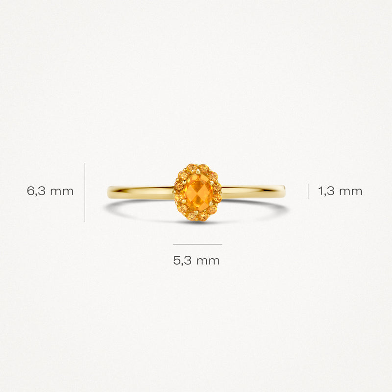 14k geelgouden ring met ovale citrien edelsteen en slanke band.