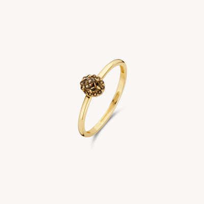 Slanke 14k geelgouden ring met ronde smokey quartz steen in open zetting.
