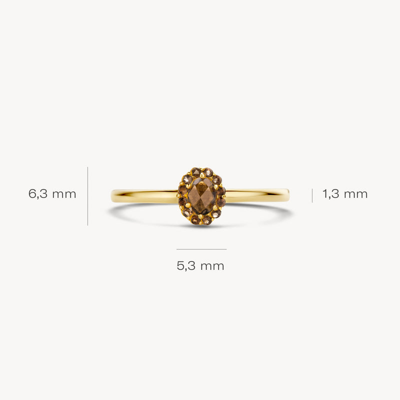 14k geelgouden ring met ovale smokey quartz van 5,3 mm en smalle band van 1,3 mm.
