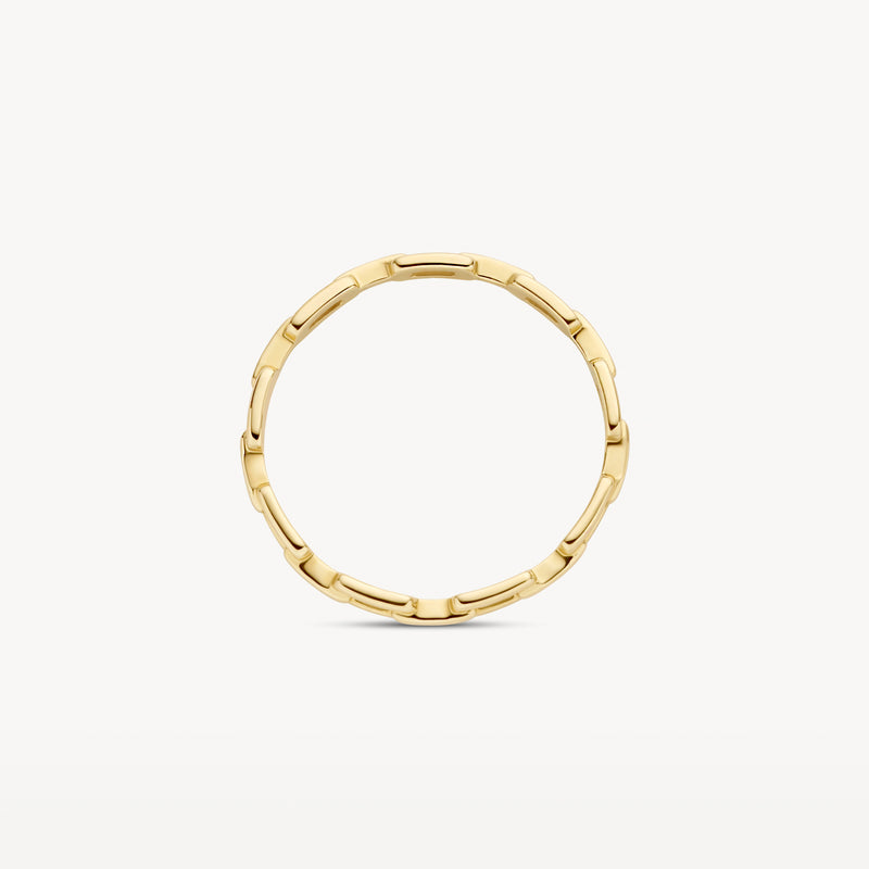 14k geelgouden ring met schakelpatroon en matte afwerking in bicolor goud.