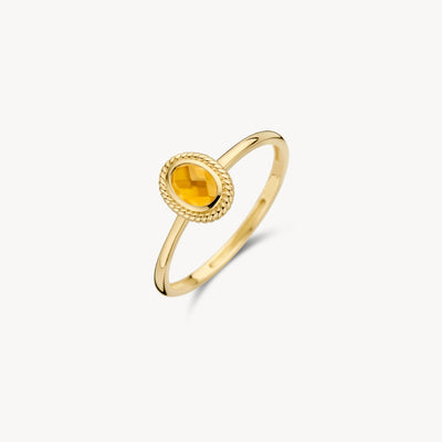 14k goud ring met ronde citrien en gedetailleerde rand.