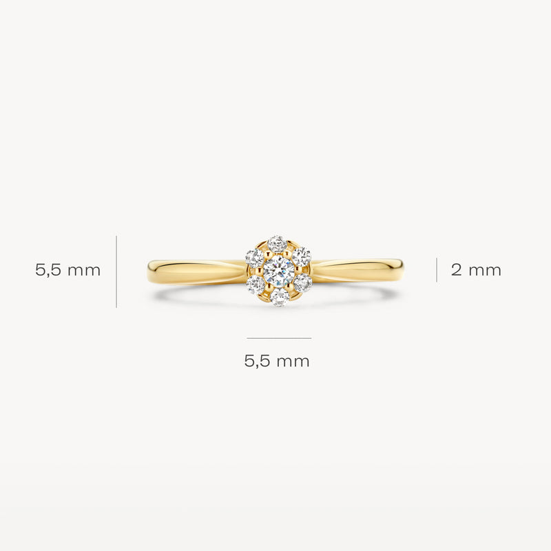 14k geelgouden ring met zeskantige zetting en fonkelende zirkonia's van 5,5 mm.
