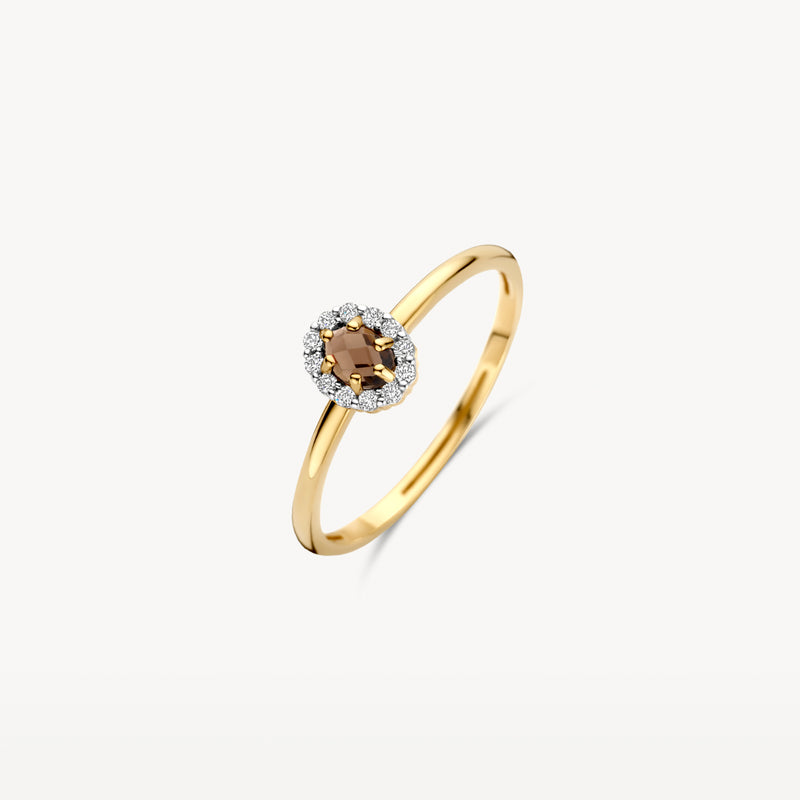 14k geelgouden ring met ronde smokey quartz en bicolor gouden sierlijst.