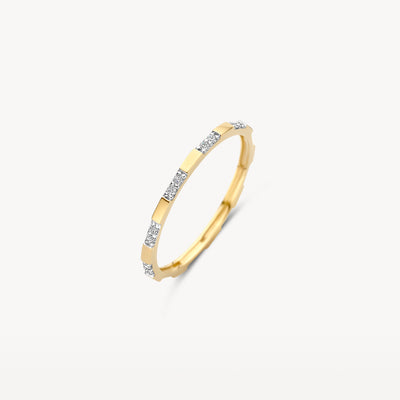 Ring van 14k geel goud en wit goud met zirkonia in kleine segmenten.