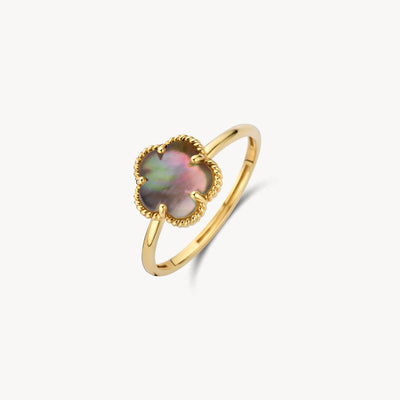 Bague 1281YBQ - Or 14k avec Nacre noire