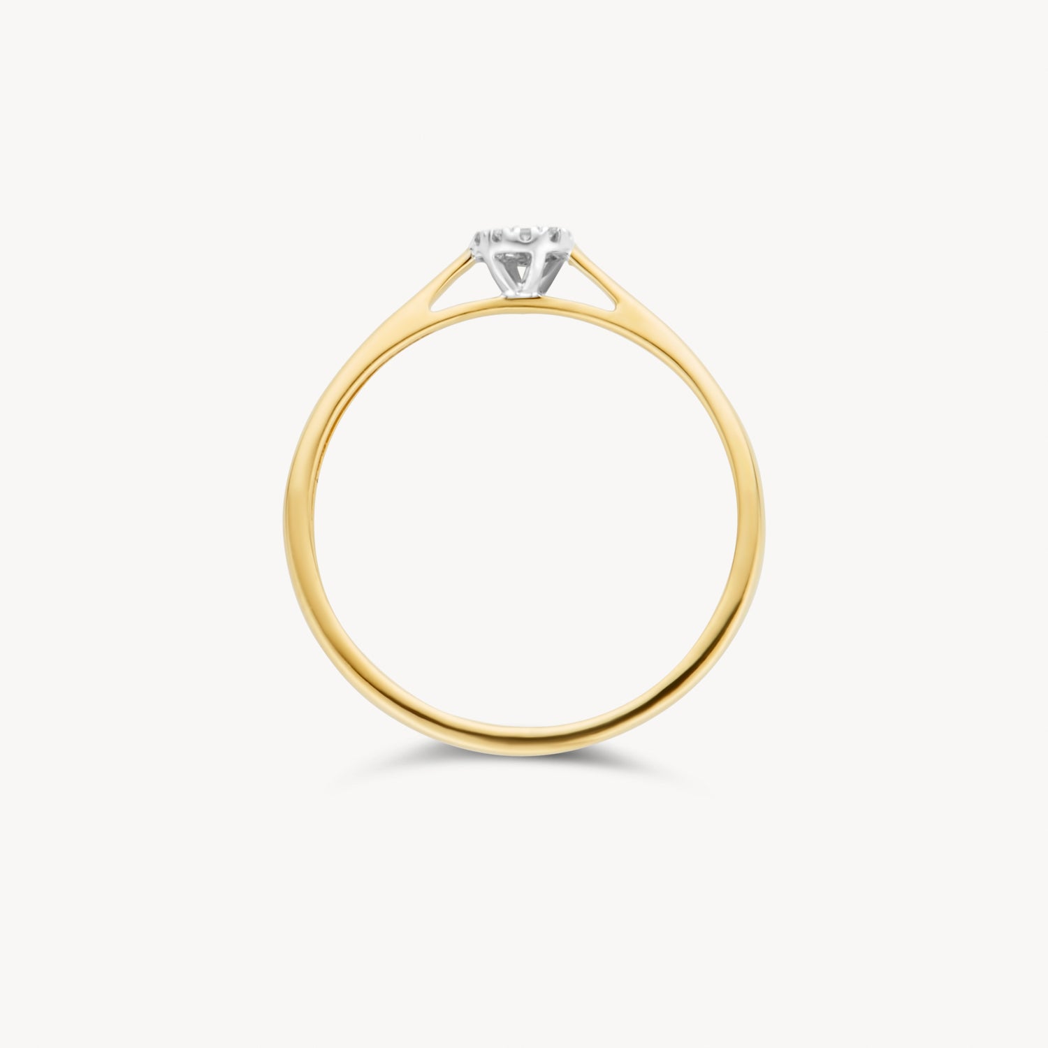 Ring 1646BDI - 14k Geel en Wit Goud met Diamant