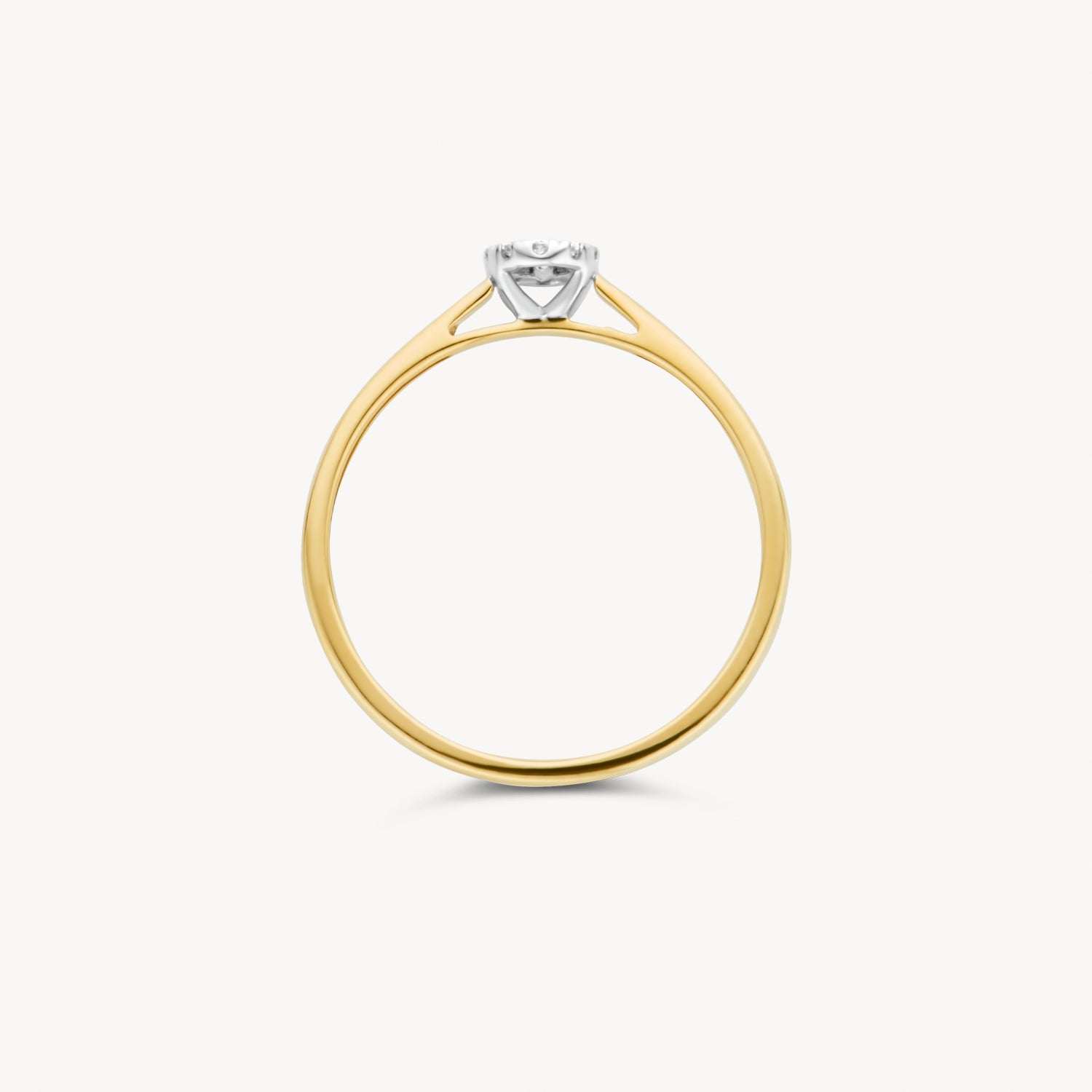 Ring 1647BDI - 14k Geel en Wit Goud met Diamant