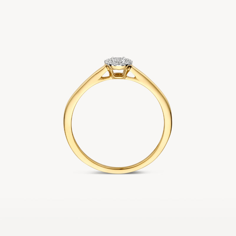 Ring van 14k geel goud met een briljant geslepen diamant zetting in wit goud.