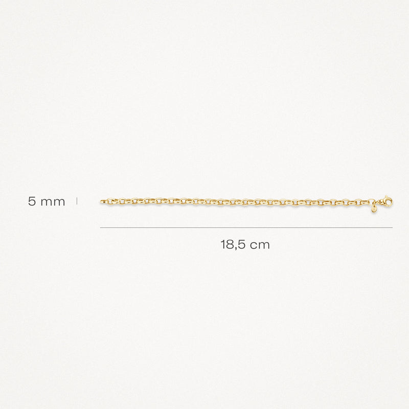 Armband van 14k geelgoud met grove schakels, 18,5 cm lang en 5 mm breed.