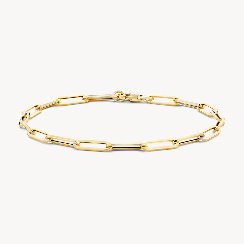 Armband van 14k geel goud met grove schakel en sluiting.