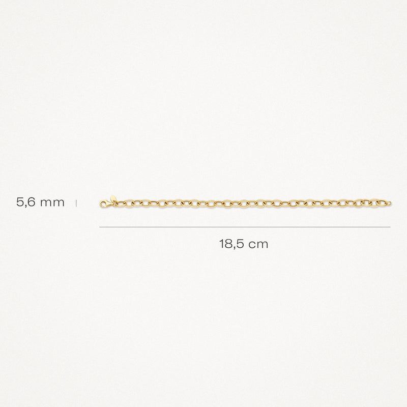 Bracelet en or jaune 14k à gros maillons, 18,5 cm de long et 5,6 mm de large.