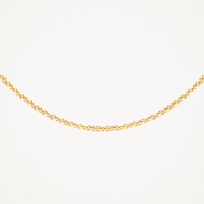 14k geelgouden ketting met fijne schakels en subtiele glans.