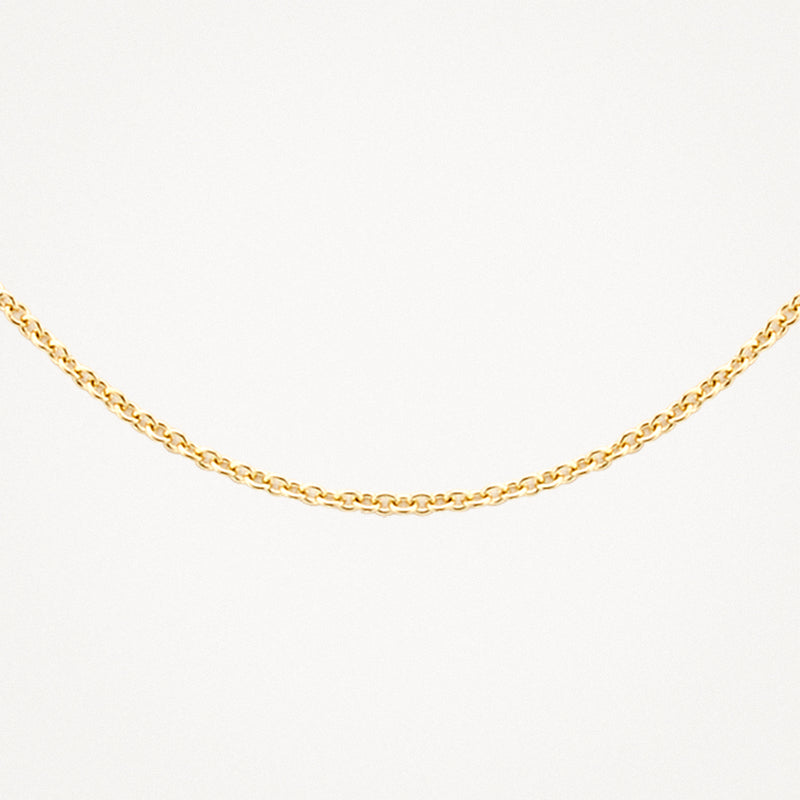 14k geelgoud ketting met fijne gedraaide schakels.
