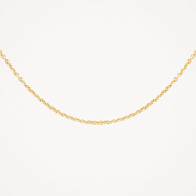 Fijne schakelketting in 14k geel goud met subtiele glans.