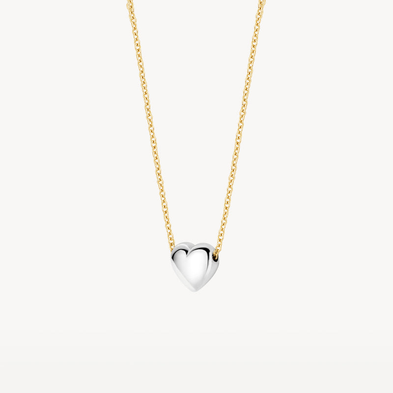 Bicolor ketting met hartvormige hanger van 14k geel en wit goud.