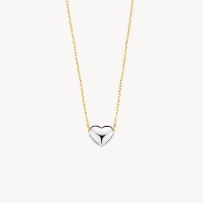 Bicolor goud ketting met hartvormige hanger in 14k wit goud en geelgoud.