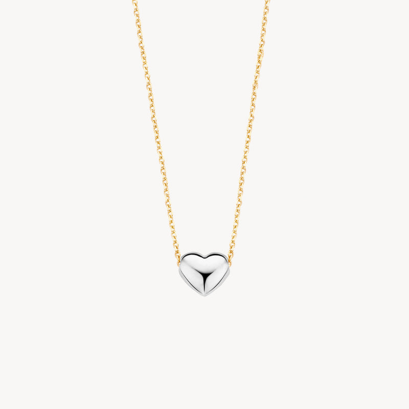 Bicolor goud ketting met hartvormige hanger in 14k wit goud en geelgoud.