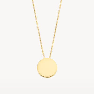 14k geelgouden ketting met ronde, gladde hanger in bicolor goud.