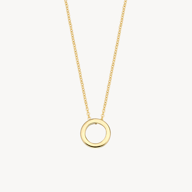 Cirkelvormige hanger aan fijne ketting van 14k geelgoud, minimalistisch design.