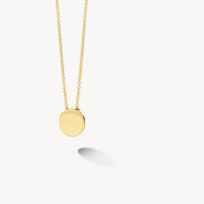 Ronde hanger aan fijne ketting van 14k geel goud met glad oppervlak.