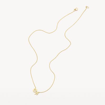 14k geelgouden fijne schakelketting met kleine hanger en sluiting.