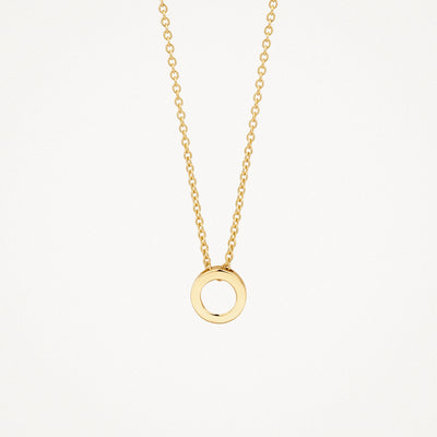 14k goud ketting met fijn schakelketting en rond hanger.