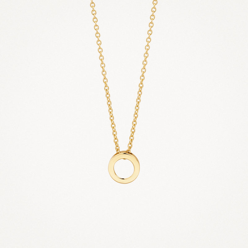 14k goud ketting met fijn schakelketting en rond hanger.