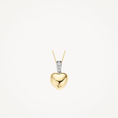 Hanger met 14k geelgouden hart en zilverkleurige zirkonia in bicolor goud.