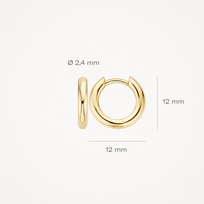 Ronde oorringen van 14k geelgoud, 12 mm diameter, 2,4 mm breedte.