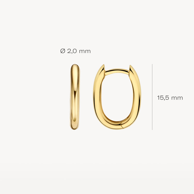 Ovale oorringen van 14k geelgoud, 15,5 mm hoog en 2 mm dik.