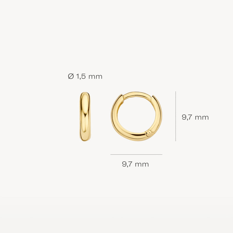 Oorringen van 14k geelgoud met een diameter van 9,7 mm en breedte 1,5 mm.
