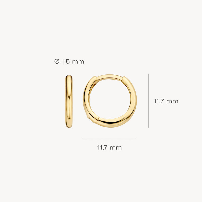 Oorringen van 14k geelgoud met diameter 11,7 mm en dikte 1,5 mm.