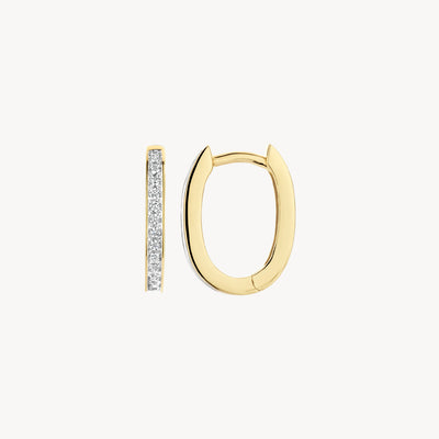 Oorringen van 14k geel goud en wit goud met rij zirkonia bicolor goud.
