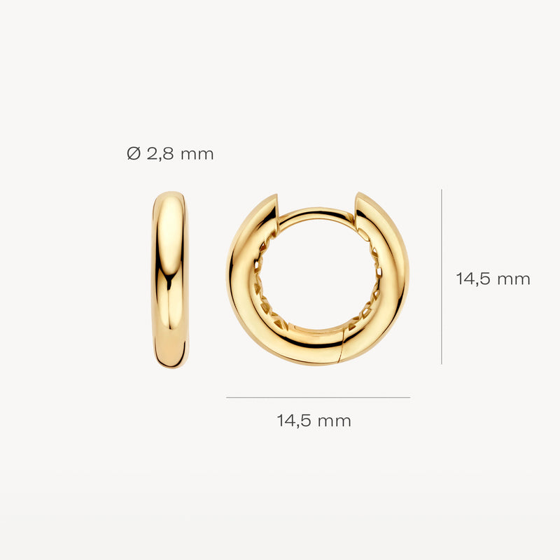 Oorringen van 14k geelgoud, doorsnede 14,5 mm, breedte 2,8 mm, glad oppervlak.