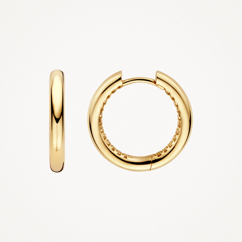 Ronde oorringen van 14k geelgoud met glanzende afwerking, kleine diameter.