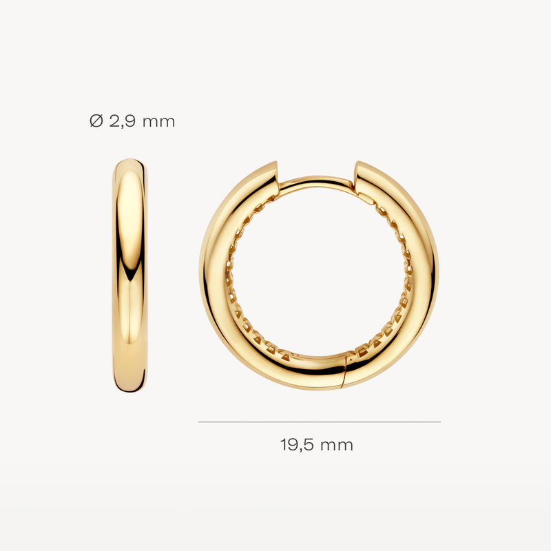 Oorringen van 14k geelgoud met 2,9 mm diameter en 19,5 mm breedte.