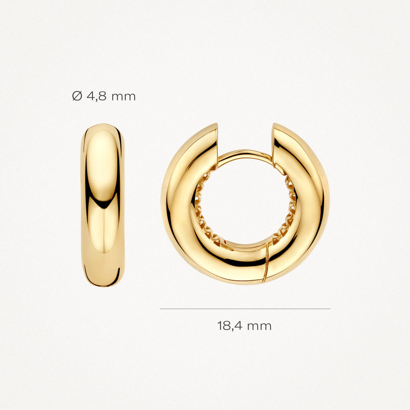 Oorringen van 14k geelgoud met een diameter van 4,8 mm en breedte van 18,4 mm.