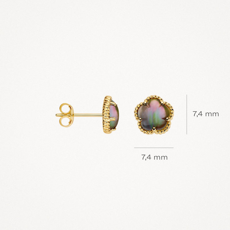 Boucles d'oreilles avec Nacre noire, or jaune 14 carats, pierre de 7,4 mm.