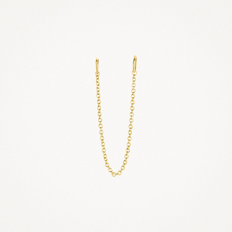 14k geelgouden fijne schakel oorbedel met haaksluiting.