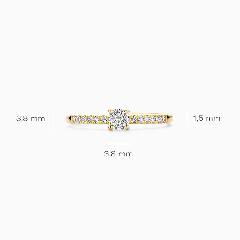 14k geelgouden ring met centrale diamant van 3,8 mm en fijndetail met kleine diamanten.