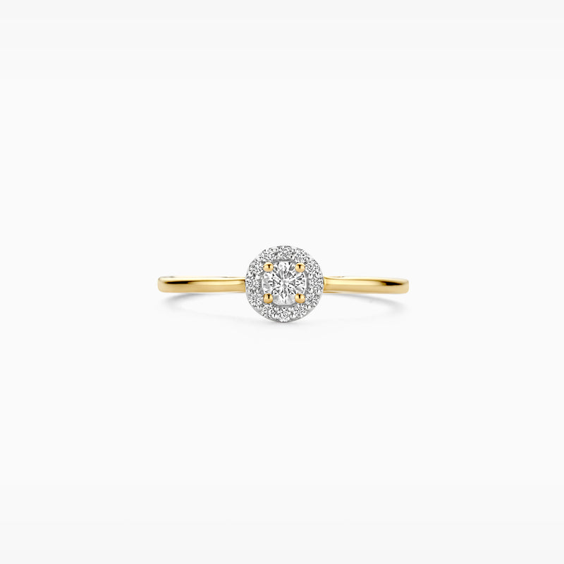 14k geelgouden ring met kleine glinsterende labdiamanten en fijne band.