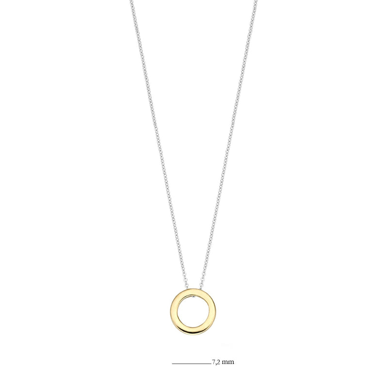 Bicolor ketting met 14k geelgouden cirkelhanger en 14k witgouden ketting, 12 mm diameter.