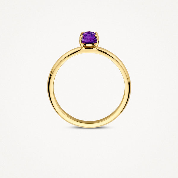 Ring 1242YAM - 14k Yellow Gold with Amethyst